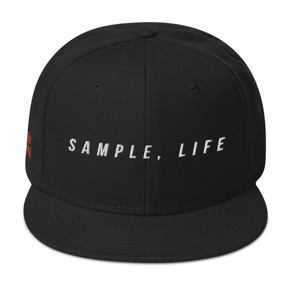 "Sample, Life" Producer Snap Back